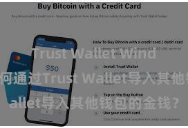 Trust Wallet Windows下载 奈何通过Trust Wallet导入其他钱包的金钱？